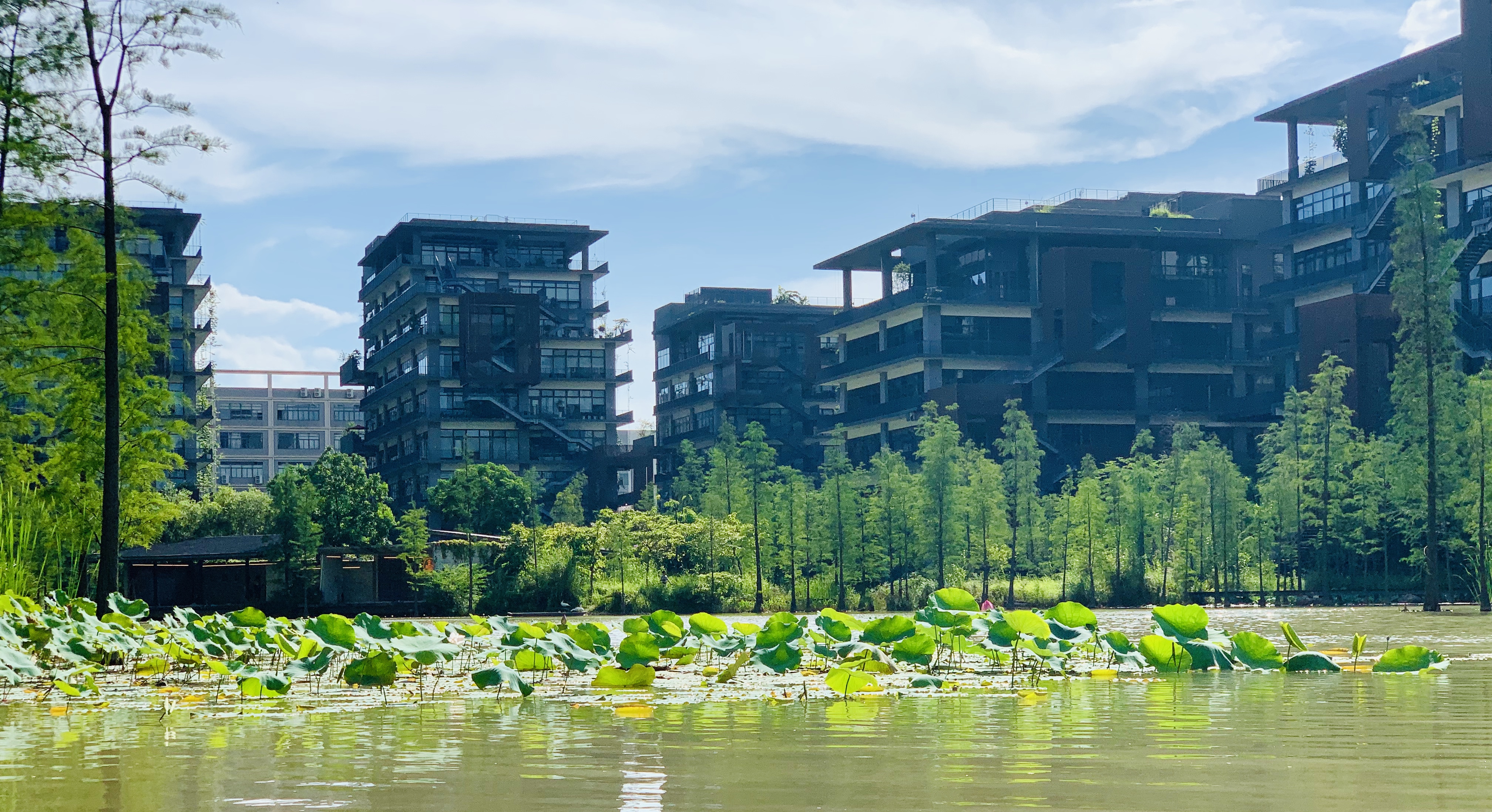 梅卡曼德深圳辦公室