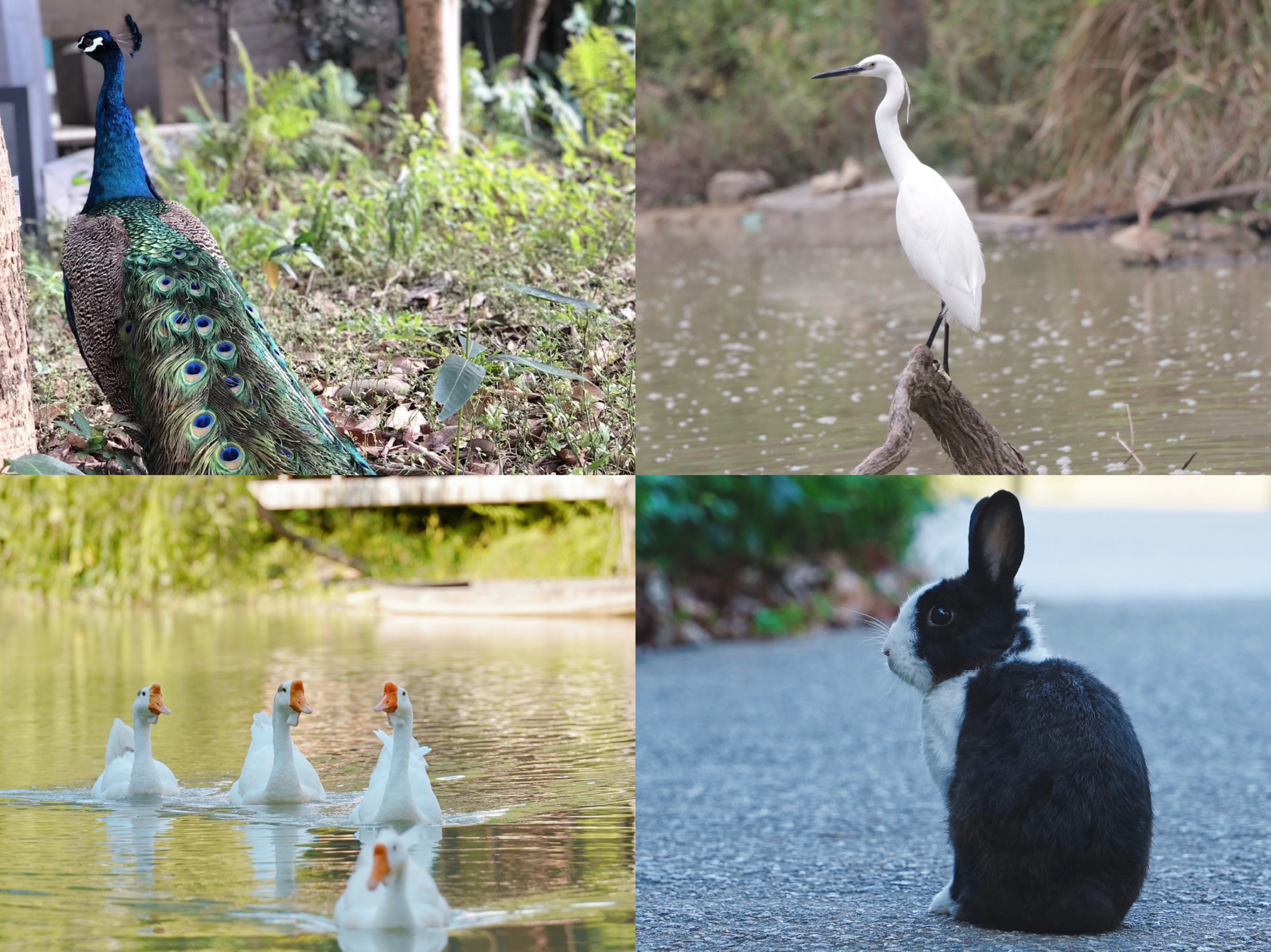 梅卡曼德深圳分公司喬遷新居 更高標準服務華南區域客戶