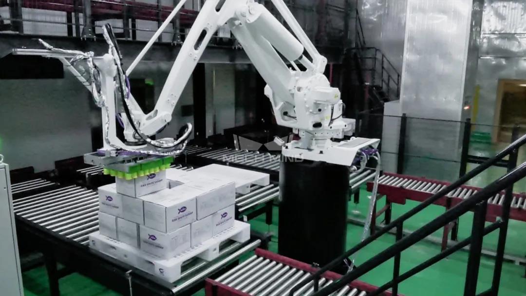 梅卡曼德案例集錦 | 物流行業視覺引導拆碼垛應用 梅卡曼德案例集錦 | 物流行業視覺引導拆碼垛應用